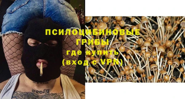 COCAINE Гусев