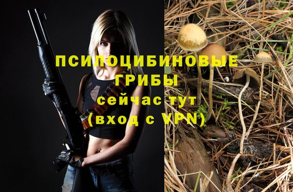 COCAINE Гусев