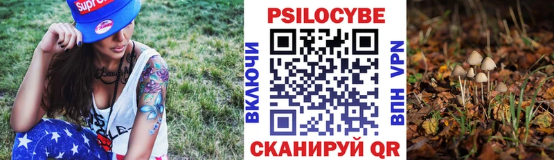 Купить закладки  Олонец  Псилоцибиновые грибы GOLDEN TEACHER 
